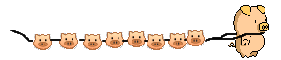pig