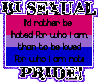 Bi-Sexual Pride