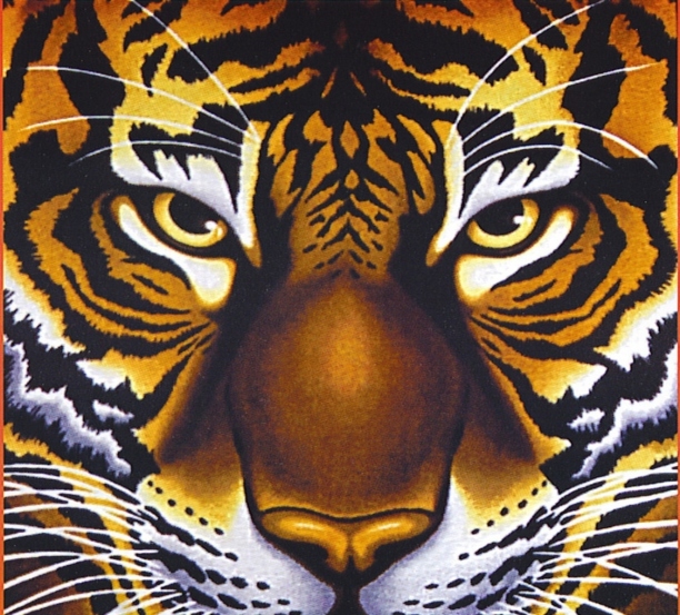 william blakes the tyger There are many william blakes, but mine arrived with the tigers in the 1960s the first line i ever read by blake was not in a book, but laid out in thick white paint (or should i say illuminated) along a brick wall in silver street, cambridge, england, in 1968 it was not poetry, but prose: “the tigers of wrath are wiser than the horses of instruction” it. william blakes the tyger There are many william blakes, but mine arrived with the tigers in the 1960s the first line i ever read by blake was not in a book, but laid out in thick white paint (or should i say illuminated) along a brick wall in silver street, cambridge, england, in 1968 it was not poetry, but prose: “the tigers of wrath are wiser than the horses of instruction” it.