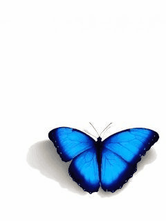 Glitter Graphics: the community for graphics enthusiasts!