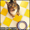 feed me