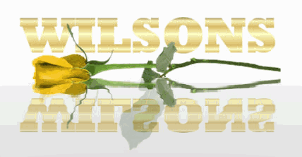 Wilsons