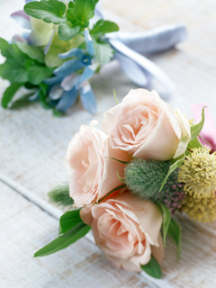 love rose flowers