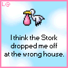 stork baby wrong