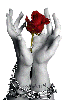 hands and rose
