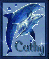 dolphin cathy