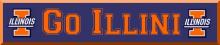 Illini Banner