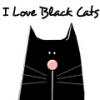 I love black cats