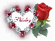 Shirley - Diamond Heart Rose