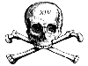 Skull XIV