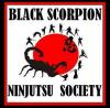Ninja Society Graphic
