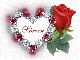 Steven - Diamond Heart Red Rose