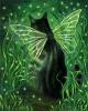 Black Fairy Cat