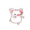 cute kawaii hey hey pig