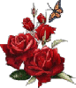Red Roses w/Butterfly