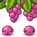 cute kawaii grapes