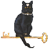 Black Cat Key