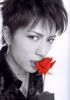 Gackt with a red rose.