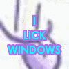 i lick windows
