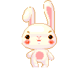 cute & funny bunny