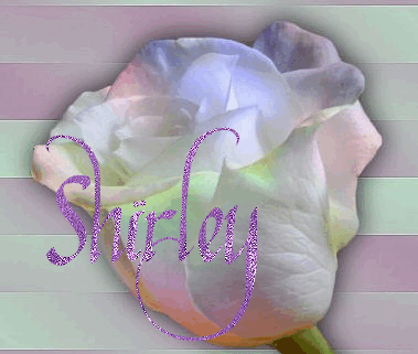 Shirley