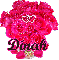 Dinah (pink roses)