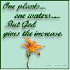 One Plants, one waters, but God gives the increase
