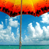 Tropical Umbrella