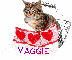 Cat-Maggie