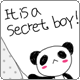 it is a secret boy panda