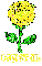 Crystal Yellow Rose