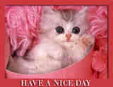 Have A nice day