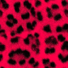 Cheetah ! (Red)