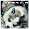 dreaming of you