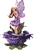 Glittering Purple Fairy on Rose