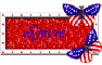 Stevie 4th of July 