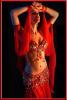 Red Belly Dancer