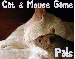 Cat & Mouse- Cat & Mouse Game Pals