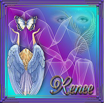 RENEE sinedot angel