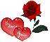 A Rose and Hearts