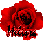 Melissa Red Rose