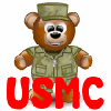 Military Soldier Teddy Bear- USMC
