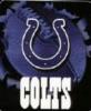 Colts 