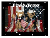 two teddy bears with the american flag
