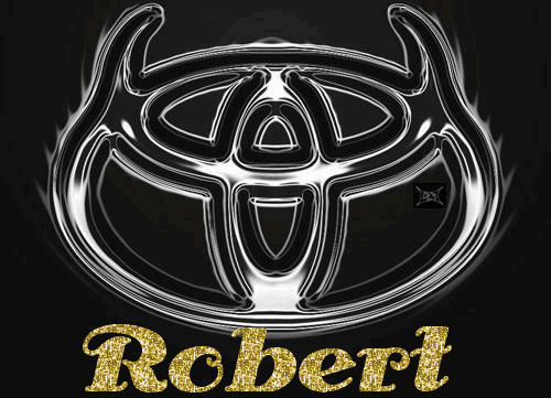 Toyota Silver & Black with horns Logo- Robert