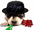 Puppy wearing hat (glitter)- Megan