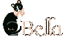 Bella - Cat