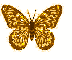 Butterfly: Erika