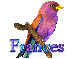 Bird-Frances