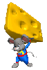 rat with heavy load